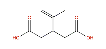 3-Isopropenylpentane-1,5-dioic acid